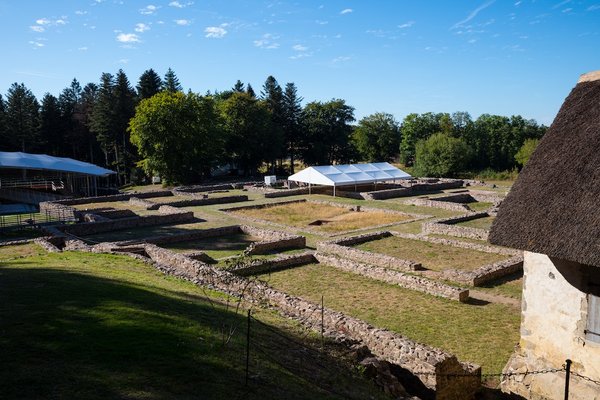 Quels sont les fruits les moins caloriques ?
